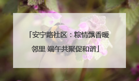 安宁路社区：粽情飘香暖邻里 端午共聚促和谐